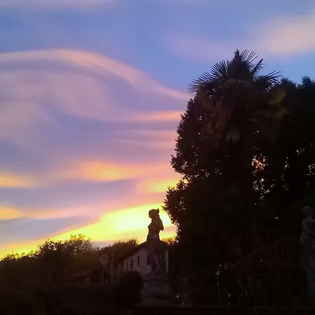 Il Gelsomino